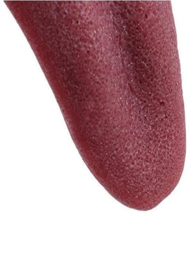Zenarao Realistic Fake Tongue Gross Jokes Prank Magic Tricks Halloween Horrific Magicians Props Fashion Processing Magic Kits - Image 2